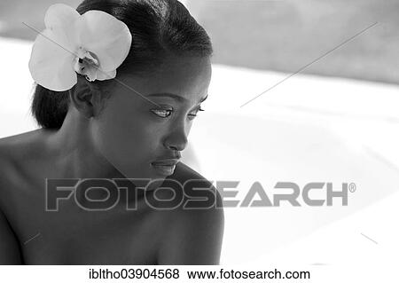 Young woman with a flower in her hair View Large Photo Image Stock Photo - Young woman with a flower in her hair. Fotosearch
