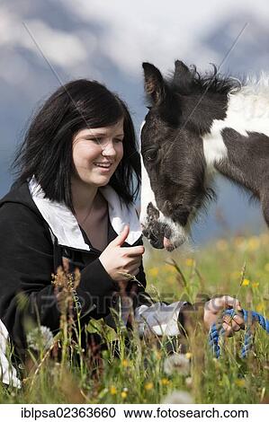 "Young woman with a Gypsy Vanner or Tinker horse foal on a meadow, pinto, black and white, North Tyrol, Austria, Europe" View Large Photo Image Stock Image - "Young woman with a Gypsy Vanner or Tinker horse foal on a meadow, pinto, black and white, North Tyrol, Austria, Europe". Fotosearch