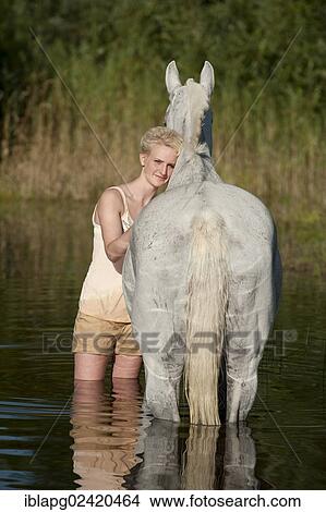 Young woman with a Hanoverian horse in a lake View Large Photo Image Picture - Young woman with a Hanoverian horse in a lake. Fotosearch