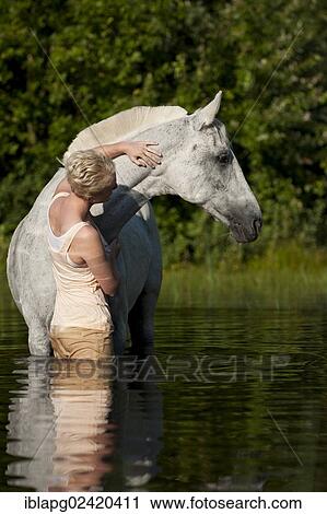 Young woman with a Hanoverian horse in a lake View Large Photo Image Stock Image - Young woman with a Hanoverian horse in a lake. Fotosearch