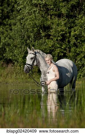 Young woman with a Hanoverian horse in a lake View Large Photo Image Stock Photo - Young woman with a Hanoverian horse in a lake. Fotosearch
