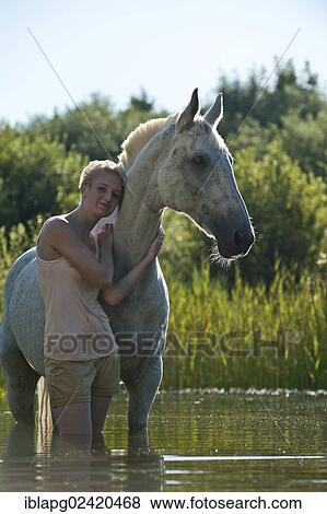 Young woman with a Hanoverian horse in a lake View Large Photo Image Stock Photo - Young woman with a Hanoverian horse in a lake. Fotosearch