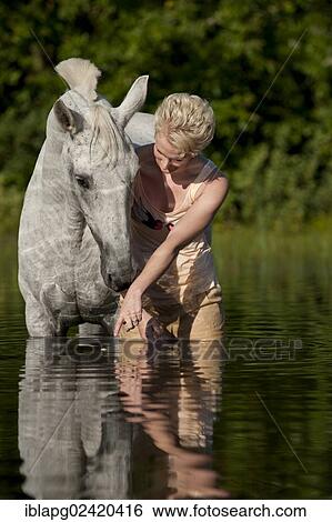 Young woman with a Hanoverian horse in a lake View Large Photo Image Stock Photograph - Young woman with a Hanoverian horse in a lake. Fotosearch
