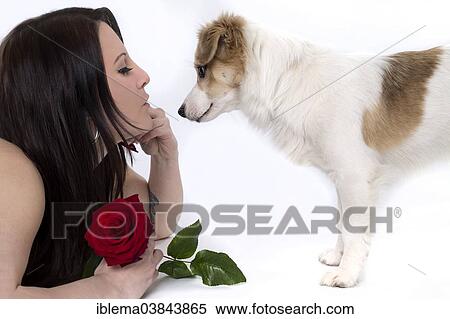 Young woman with a puppy holding a red rose View Large Photo Image Stock Photography - Young woman with a puppy holding a red rose. Fotosearch