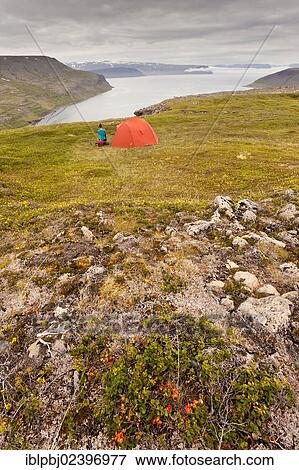 "Young woman with a tent, Hornstrandir, West Iceland, Iceland, Europe" View Large Photo Image Stock Photo - "Young woman with a tent, Hornstrandir, West Iceland, Iceland, Europe". Fotosearch