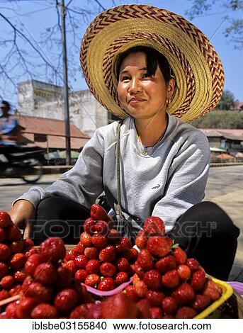 Stock Image - "Young woman with fresh strawberries at a market, Chiang Rai Province, Northern Thailand, Thailand, Asia". Fotosearch