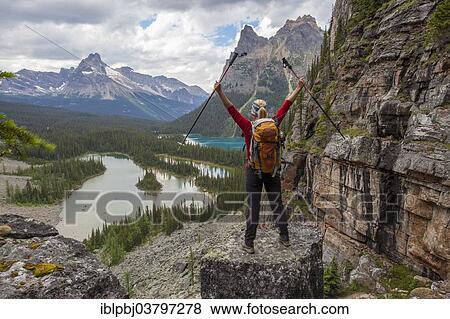 "Young woman with hiking sticks, Lake O'Hara, Yoho National Park, Canada, North America" View Large Photo Image Stock Photo - "Young woman with hiking sticks, Lake O'Hara, Yoho National Park, Canada, North America". Fotosearch