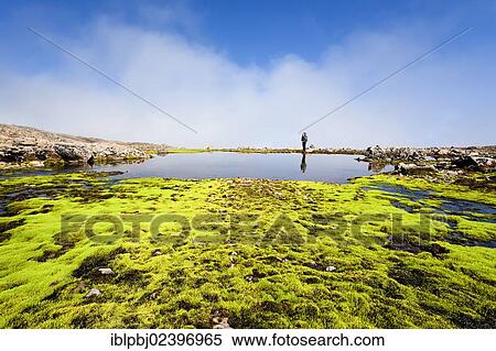 Stock Photography - "Young woman's reflection in a lake, Hornstrandir, Westfjords, West Iceland, Iceland, Europe". Fotosearch