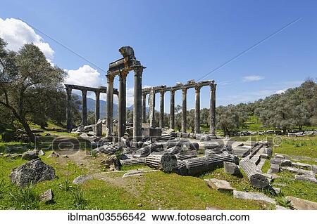 "Zeus Temple of Euromos, Euromos, near Milas, Mugla Province, Aegean region, Turkey, Asia" View Large Photo Image Stock Image - "Zeus Temple of Euromos, Euromos, near Milas, Mugla Province, Aegean region, Turkey, Asia". Fotosearch
