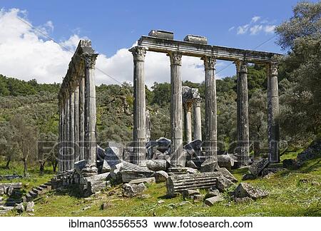"Zeus Temple of Euromos, Euromos, near Milas, Mugla Province, Aegean region, Turkey, Asia" View Large Photo Image Stock Image - "Zeus Temple of Euromos, Euromos, near Milas, Mugla Province, Aegean region, Turkey, Asia". Fotosearch