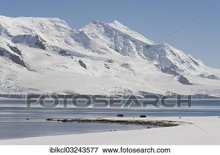 "Zodiac inflatable boats between Half Moon Island, front, and Livingston Iceland, rear, Sudliche Shetlandinseln, Antarctica" View Large Photo Image Stock Photo - "Zodiac inflatable boats between Half Moon Island, front, and Livingston Iceland, rear, Sudliche Shetlandinseln, Antarctica". Fotosearch