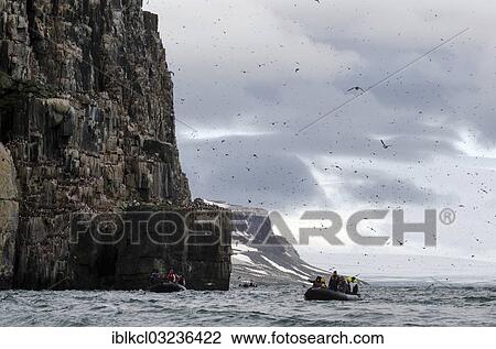 "Zodiac inflatable boats cruising along the bird cliffs of Alkefjellet, Hinlopenstretet, Spitsbergen Island, Svalbard Archipelago, Svalbard and Jan Mayen, Norway, Europe" View Large Photo Image Stock Image - "Zodiac inflatable boats cruising along the bird cliffs of Alkefjellet, Hinlopenstretet, Spitsbergen Island, Svalbard Archipelago, Svalbard and Jan Mayen, Norway, Europe". Fotosearch