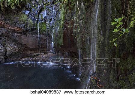 25 Fontes Falls, Madeira, Portugal, Europe View Large Photo Image Stock Photo - 25 Fontes Falls, Madeira, Portugal, Europe. Fotosearch