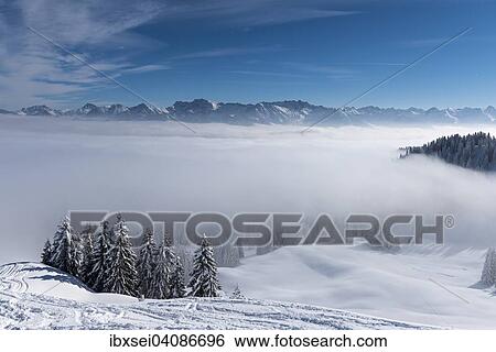 Allgau Alps, with snow-covered winter forest and fog in the valley, Ofterschwang, Oberallgau district, Bavaria, Germany, Europe View Large Photo Image Stock Photograph - Allgau Alps, with snow-covered winter forest and fog in the valley, Ofterschwang, Oberallgau district, Bavaria, Germany, Europe. Fotosearch