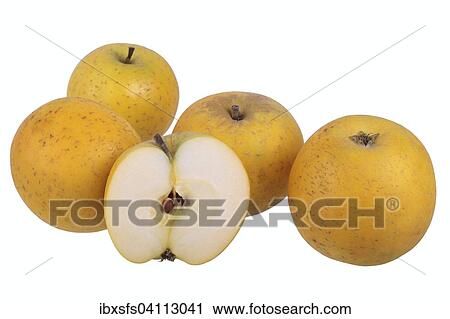 Apple variety Ananas Reinette, with one cut? Çï? Çïapple View Large Photo Image Stock Image - Apple variety Ananas Reinette, with one cut? Çï? Çïapple. Fotosearch