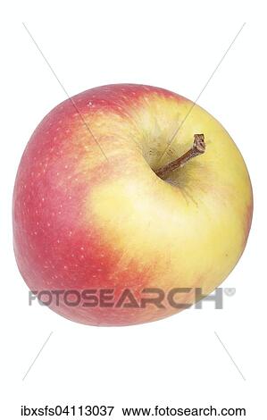 Apple variety Belgica View Large Photo Image Stock Photo - Apple variety Belgica. Fotosearch