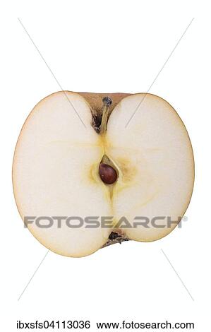 Apple variety Berlepsch, cut View Large Photo Image Stock Photograph - Apple variety Berlepsch, cut. Fotosearch