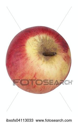 Apple variety Carola View Large Photo Image Stock Image - Apple variety Carola. Fotosearch