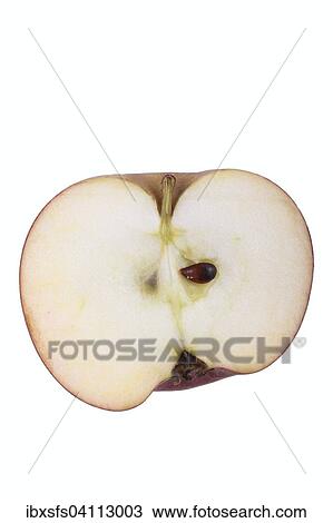 Apple variety Hessische Tiefenblute, cut View Large Photo Image Stock Image - Apple variety Hessische Tiefenblute, cut. Fotosearch