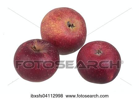 Stock Photo - Apple variety Ingrid Marie. Fotosearch