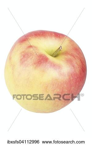 Apple variety Kanzi View Large Photo Image Stock Photograph - Apple variety Kanzi. Fotosearch
