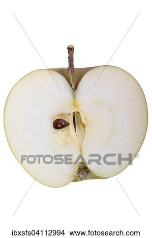 Apple variety Landsberg Rennet, cut View Large Photo Image Picture - Apple variety Landsberg Rennet, cut. Fotosearch