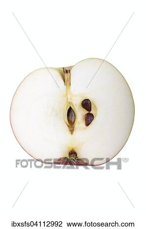 Apple variety Lusatian Clove Apple, cut View Large Photo Image Stock Image - Apple variety Lusatian Clove Apple, cut. Fotosearch