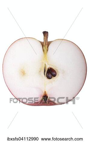 Apple variety Malvasia, cut View Large Photo Image Stock Image - Apple variety Malvasia, cut. Fotosearch