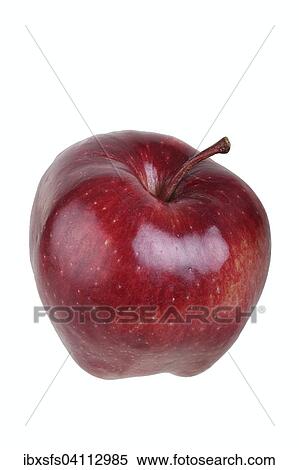 Apple variety Red Chief View Large Photo Image Stock Photography - Apple variety Red Chief. Fotosearch