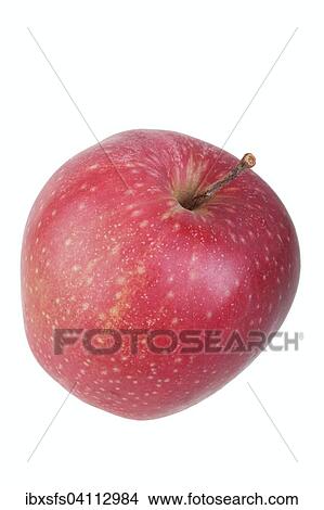 Apple variety Red Jonaprince View Large Photo Image Picture - Apple variety Red Jonaprince. Fotosearch