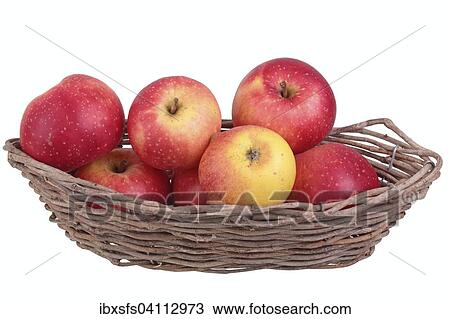 Stock Image - Apple variety Ruhm aus Kelsterbach, apples in a fruit basket. Fotosearch