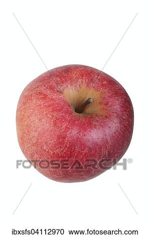Apple variety Swiss Orange Apple View Large Photo Image Stock Image - Apple variety Swiss Orange Apple. Fotosearch