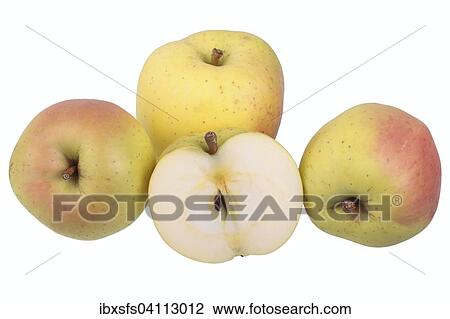 Apple variety Yellow Bellefleur with cut? Çï? Çïapple View Large Photo Image Stock Image - Apple variety Yellow Bellefleur with cut? Çï? Çïapple. Fotosearch