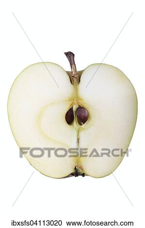 Apple variety Yellow Saxon Reinette, cut View Large Photo Image Stock Image - Apple variety Yellow Saxon Reinette, cut. Fotosearch