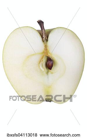 Stock Photo - Apple variety Yellow Saxon Reinette, cut. Fotosearch