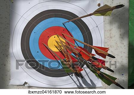 Archery target with arrows View Large Photo Image Stock Image - Archery target with arrows. Fotosearch