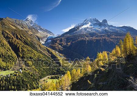 Argentiere Glacier in Mont Blanc Massif with autumnal larch forest, Chamonix, Rhone-Alpes, France, Europe View Large Photo Image Stock Image - Argentiere Glacier in Mont Blanc Massif with autumnal larch forest, Chamonix, Rhone-Alpes, France, Europe. Fotosearch