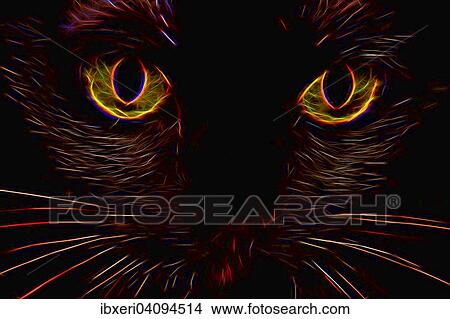 Asian cat, colour Black Bombay View Large Photo Image Picture - Asian cat, colour Black Bombay. Fotosearch