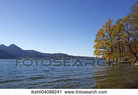 Stock Image - Autumn at Lake Kochel or Kochelsee Lake, Kochel am See, Upper Bavaria, Bavaria, Germany, Europe. Fotosearch