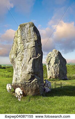 Avebury Neolithic standing stone circle, UNESCO World Heritage Site, Wiltshire, England, United Kingdom, Europe View Large Photo Image Stock Photography - Avebury Neolithic standing stone circle, UNESCO World Heritage Site, Wiltshire, England, United Kingdom, Europe. Fotosearch