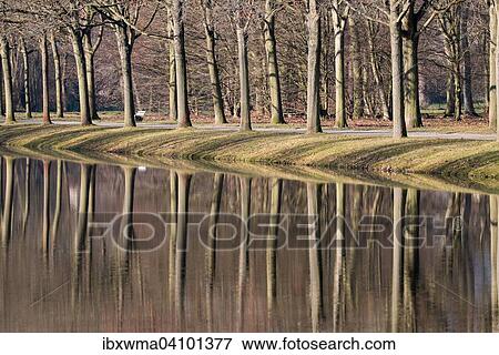 Avenue of trees, trees reflected in water, Hesse, Germany, Europe View Large Photo Image Stock Photo - Avenue of trees, trees reflected in water, Hesse, Germany, Europe. Fotosearch
