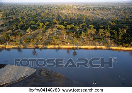 Stock Image - Banks of the Luangwa River, Mobane forest in the morning light, aerial view, South Luangwa National Park, Zambia, Africa. Fotosearch