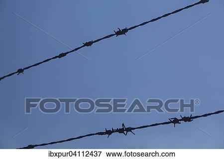 Barbed wire against blue sky, Germany, Europe View Large Photo Image Stock Photo - Barbed wire against blue sky, Germany, Europe. Fotosearch