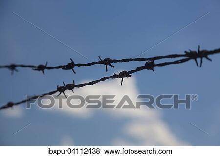 Barbed wire against blue sky, Germany, Europe View Large Photo Image Stock Photo - Barbed wire against blue sky, Germany, Europe. Fotosearch