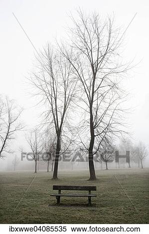 Stock Photography - Bare trees and a park bench with fog, Mondseeland region, Mondsee lake, Salzkammergut, Upper Austria, Austria, Europe. Fotosearch