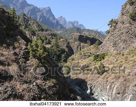 Barranco de las Angustias, Caldera de Taburiente National Park, La Palma, Canary Islands, Spain, Europe View Large Photo Image Stock Image - Barranco de las Angustias, Caldera de Taburiente National Park, La Palma, Canary Islands, Spain, Europe. Fotosearch