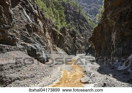 Barranco de Las Angustias with ferrous water, Caldera de Taburiente National Park, La Palma, Canary Islands, Spain, Europe View Large Photo Image Stock Photo - Barranco de Las Angustias with ferrous water, Caldera de Taburiente National Park, La Palma, Canary Islands, Spain, Europe. Fotosearch