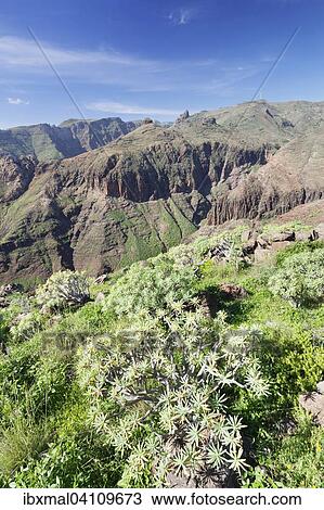 Barranco de Vera gorge, Roque del Sombrero, near San Sebastian, La Gomera, Canary Islands, Spain, Europe View Large Photo Image Stock Image - Barranco de Vera gorge, Roque del Sombrero, near San Sebastian, La Gomera, Canary Islands, Spain, Europe. Fotosearch