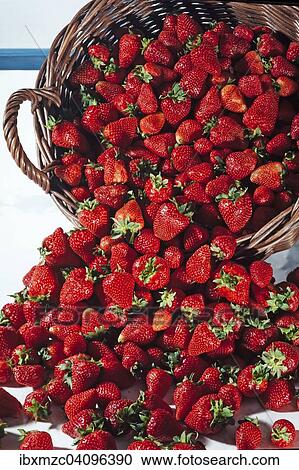Basket with fresh strawberries View Large Photo Image Stock Image - Basket with fresh strawberries. Fotosearch