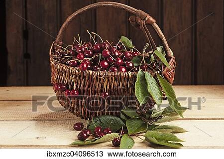 Stock Image - Basket with ripe cherries, against a wooden wall. Fotosearch